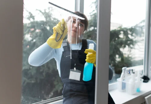 Nettoyage de vitres intérieures et extérieures à Bois-Arnault